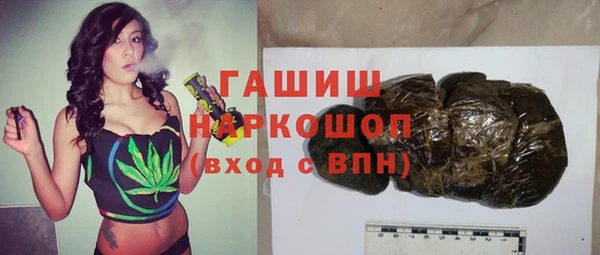 стаф Коряжма
