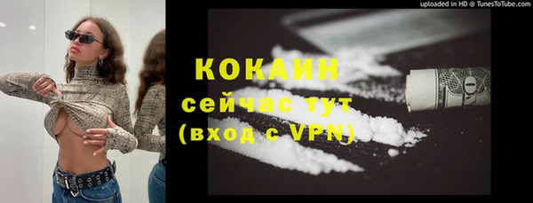 стаф Коряжма