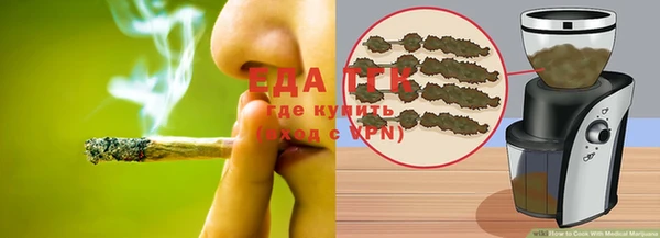 стаф Коряжма