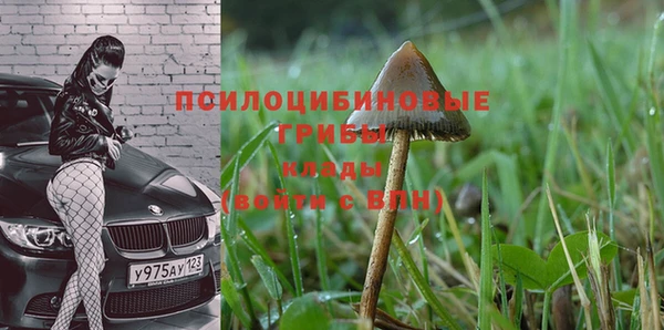 дмт Костерёво