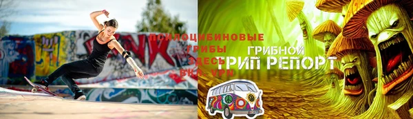 стаф Коряжма